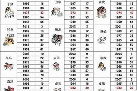 1981 属什么|1981年属什么生肖年龄多少 81年属什么今年多大